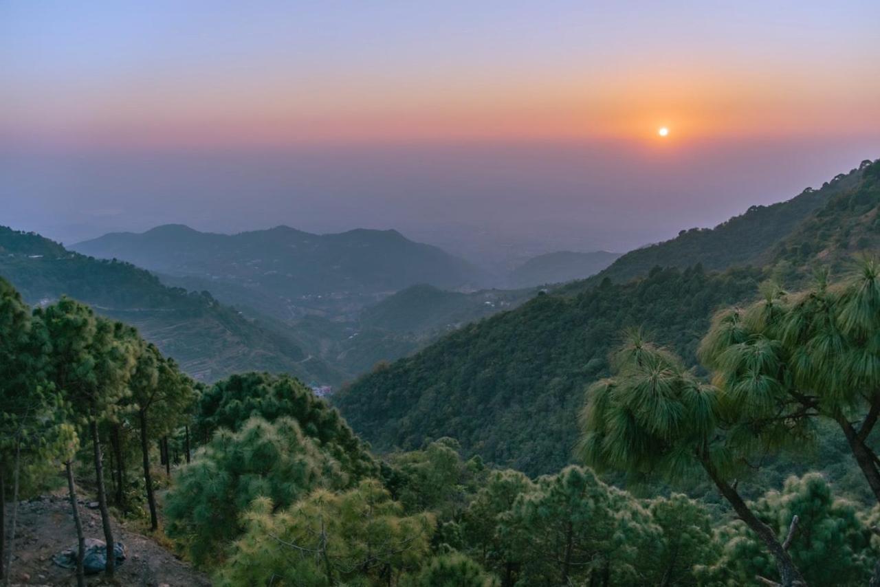 Ferienwohnung Panormic View By The North Edge Kasauli Exterior foto